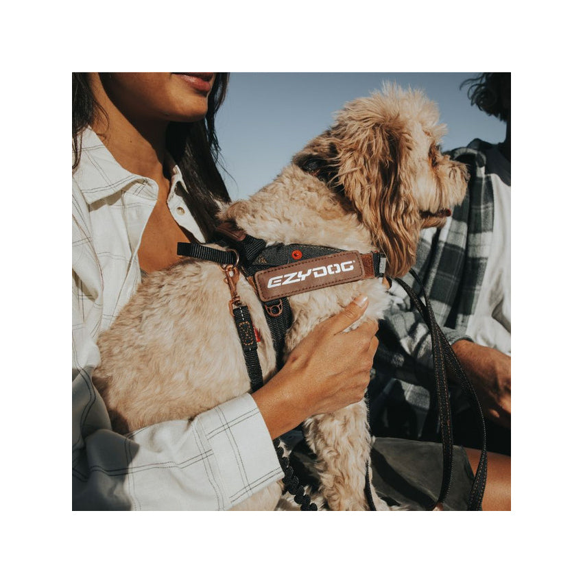 EzyDog Black Denim Express Harness