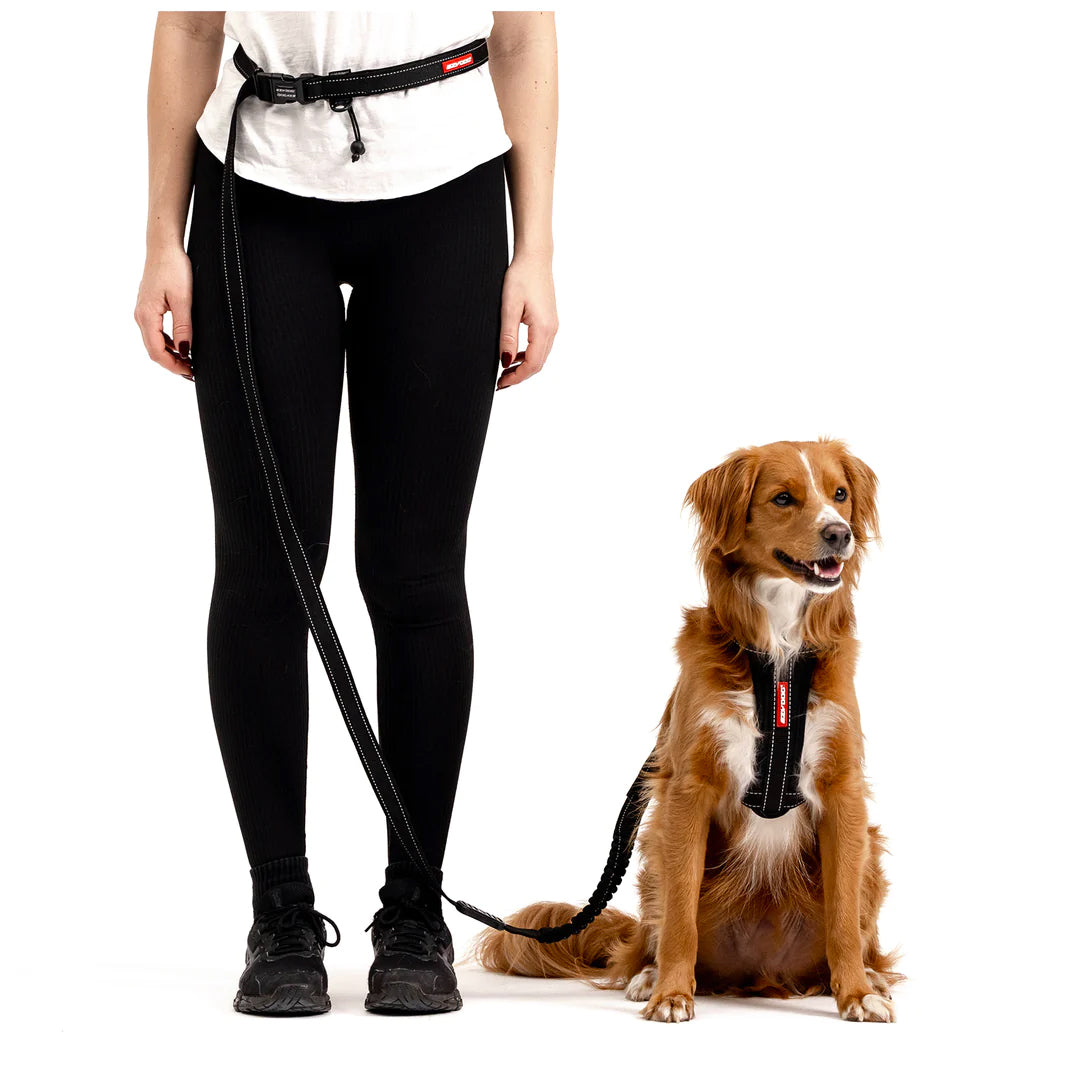 EzyDog Black Denim Road Runner Leash