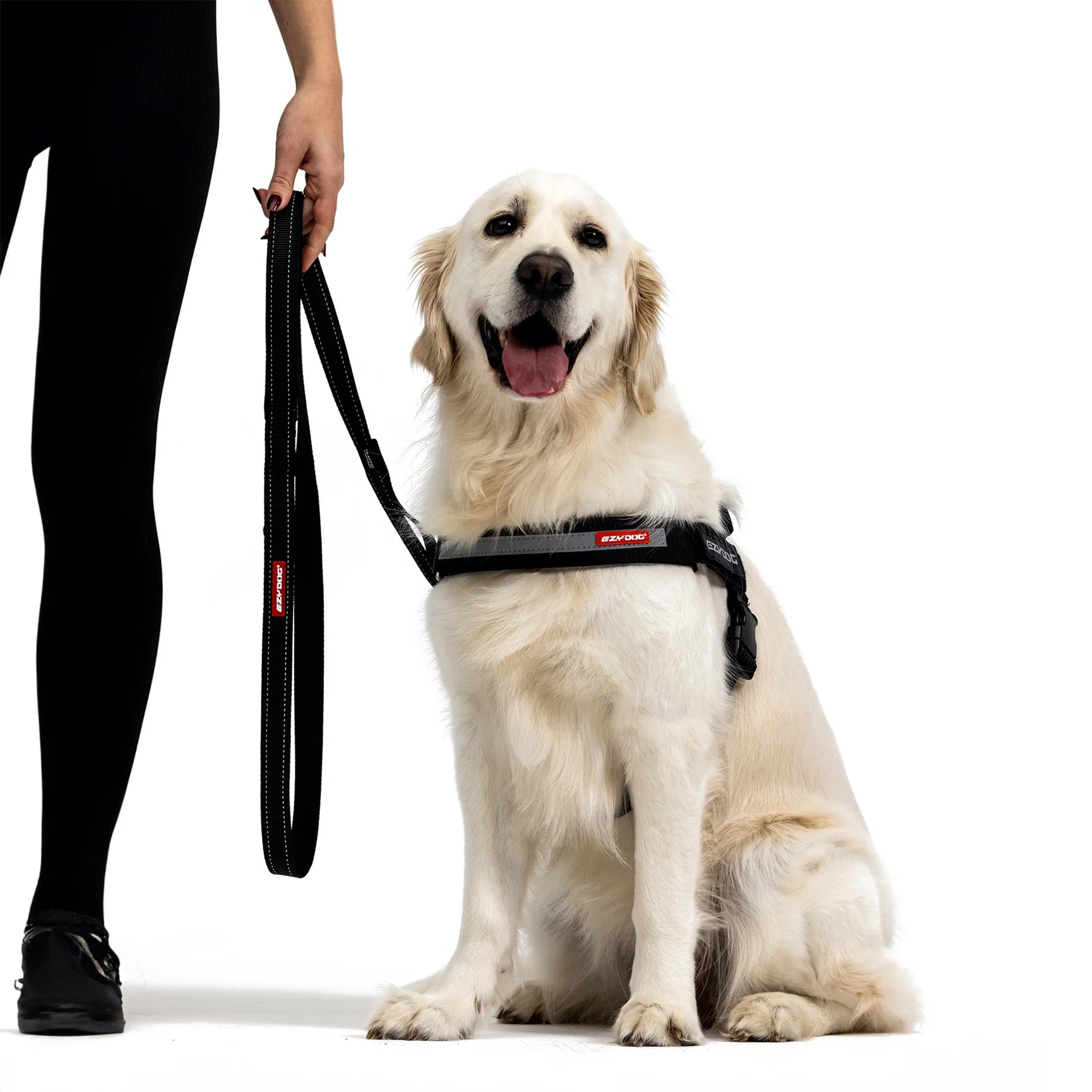 EzyDog Black Denim Soft Trainer Leash with Traffic Control