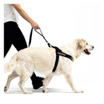 EzyDog Black Denim Soft Trainer Leash with Traffic Control