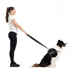 EzyDog Black Denim Vario 4 Multi-function Leash