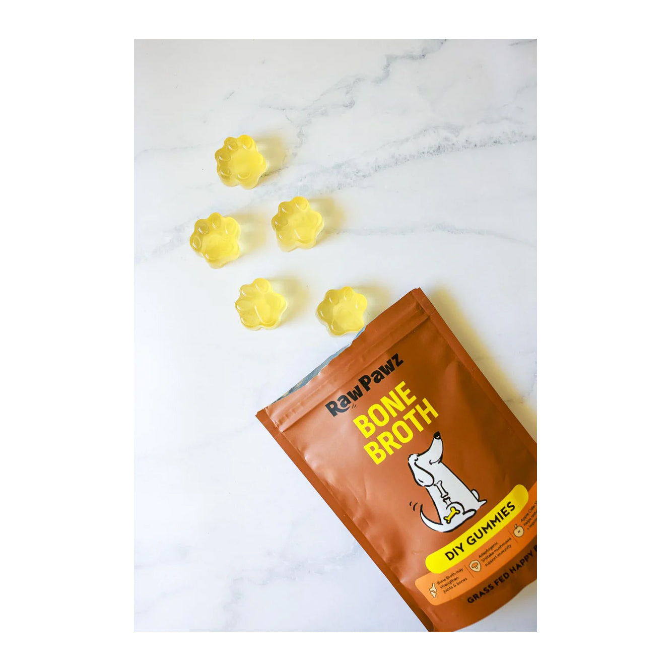 Raw Pawz Bone Broth DIY Gummies 90g