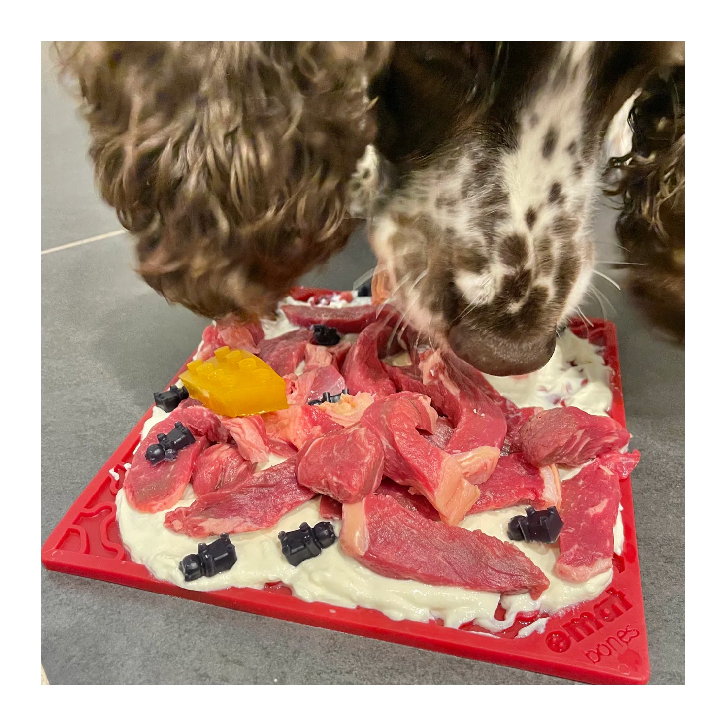 SodaPup eMat Bones Enrichment Lick Mat