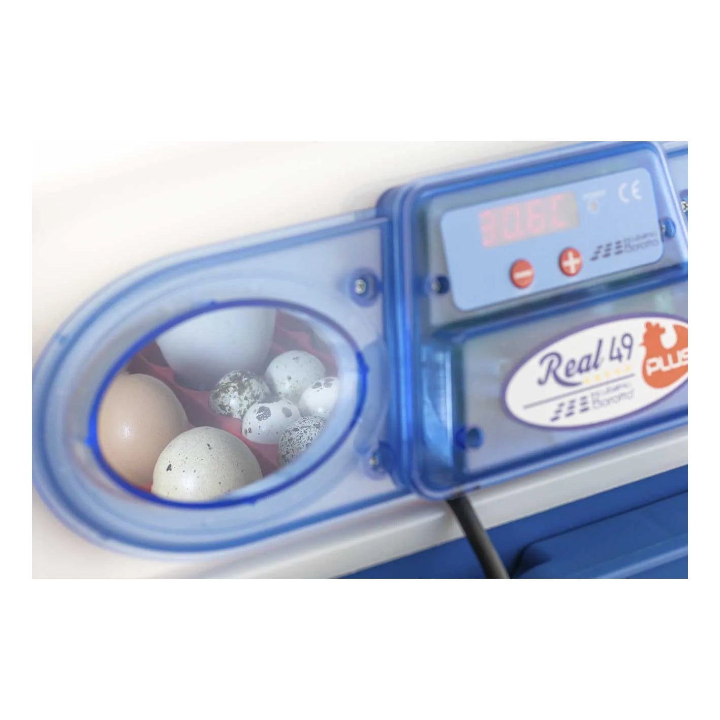 Borotto Real 49 Plus Incubator - Automatic
