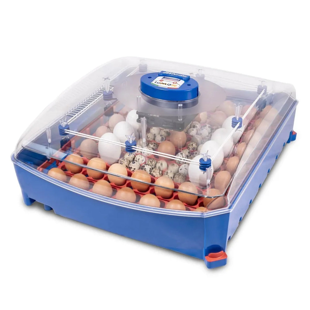 Borotto Lumia 56 Automatic Incubator