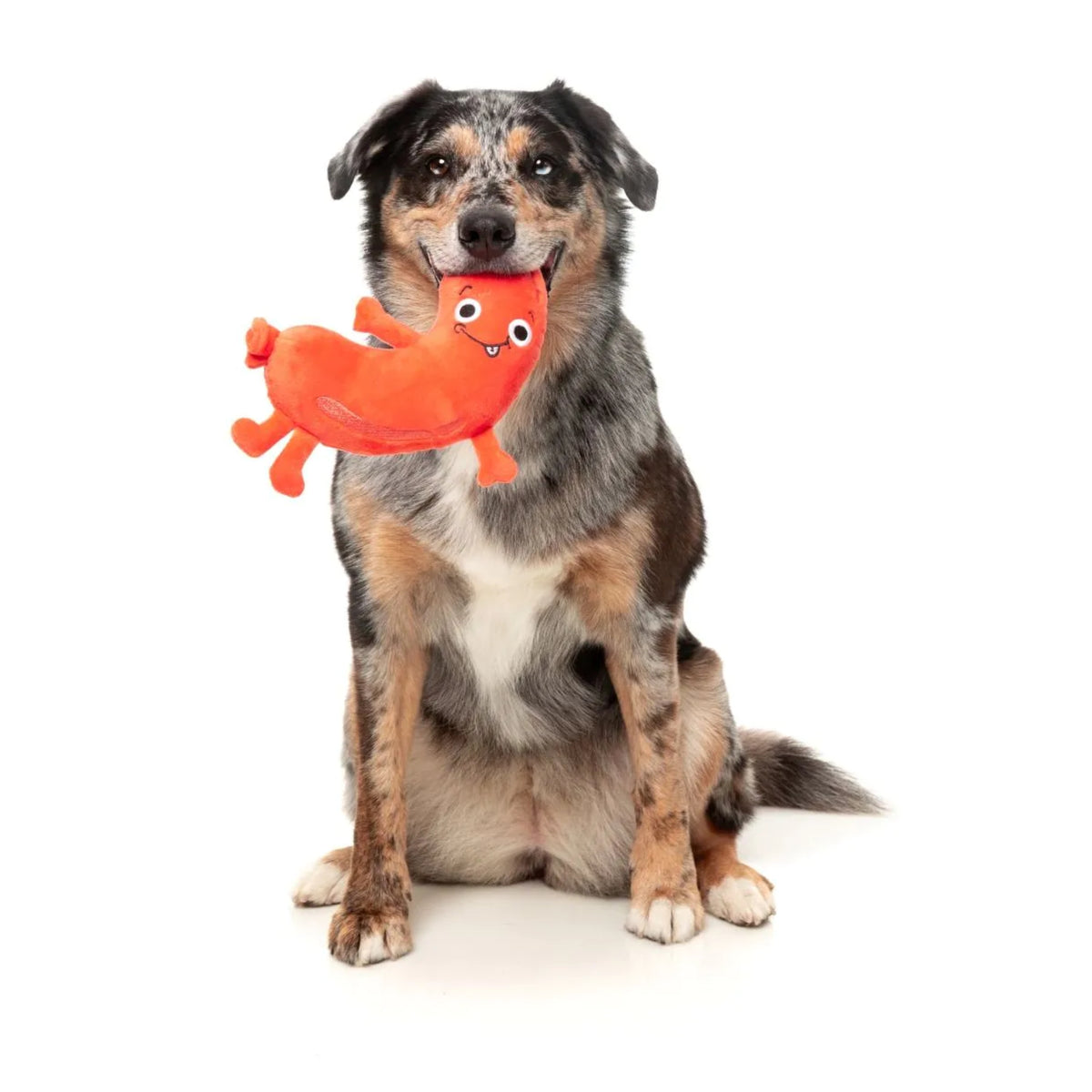 FuzzYard Meat Heads - Brad Wurst