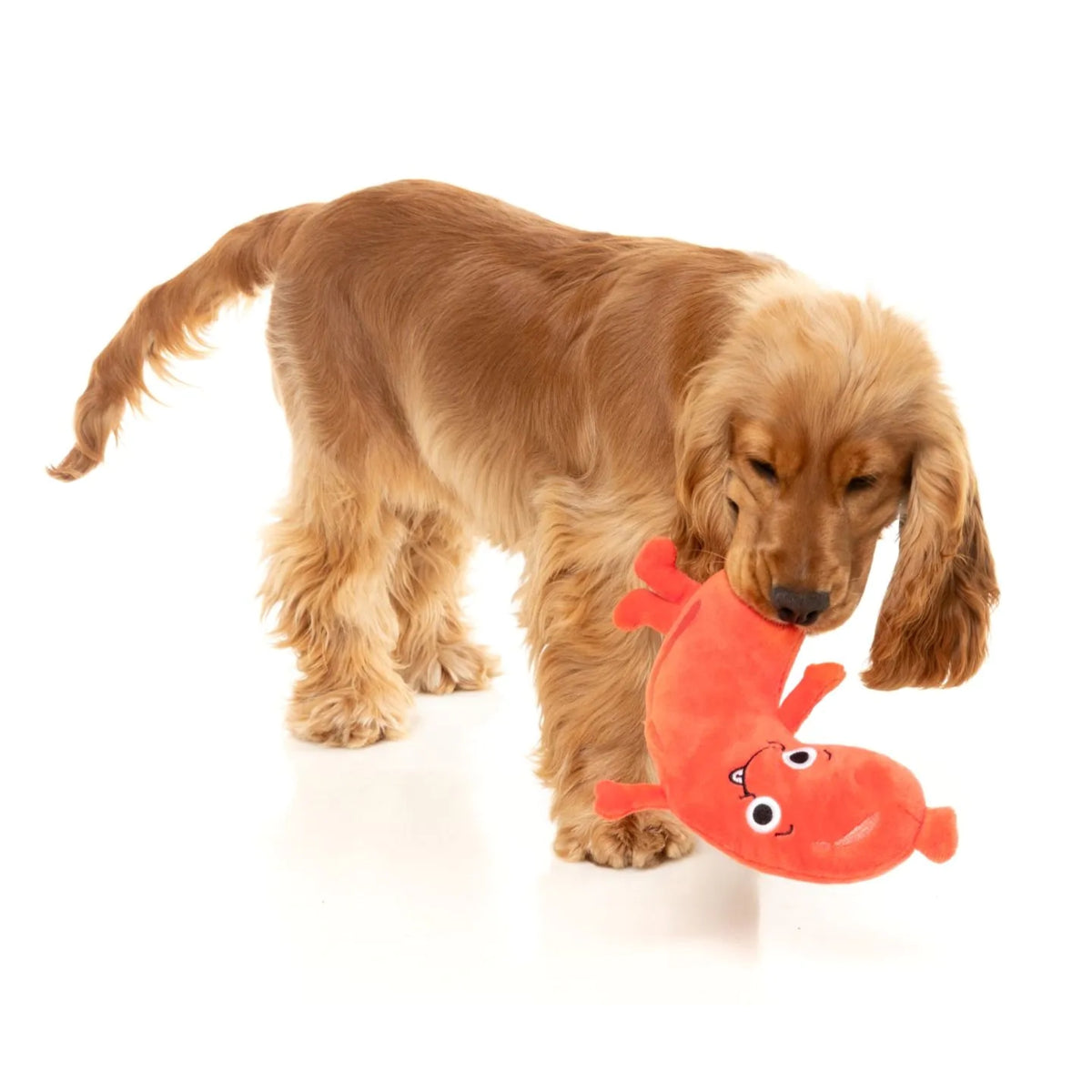 FuzzYard Meat Heads - Brad Wurst