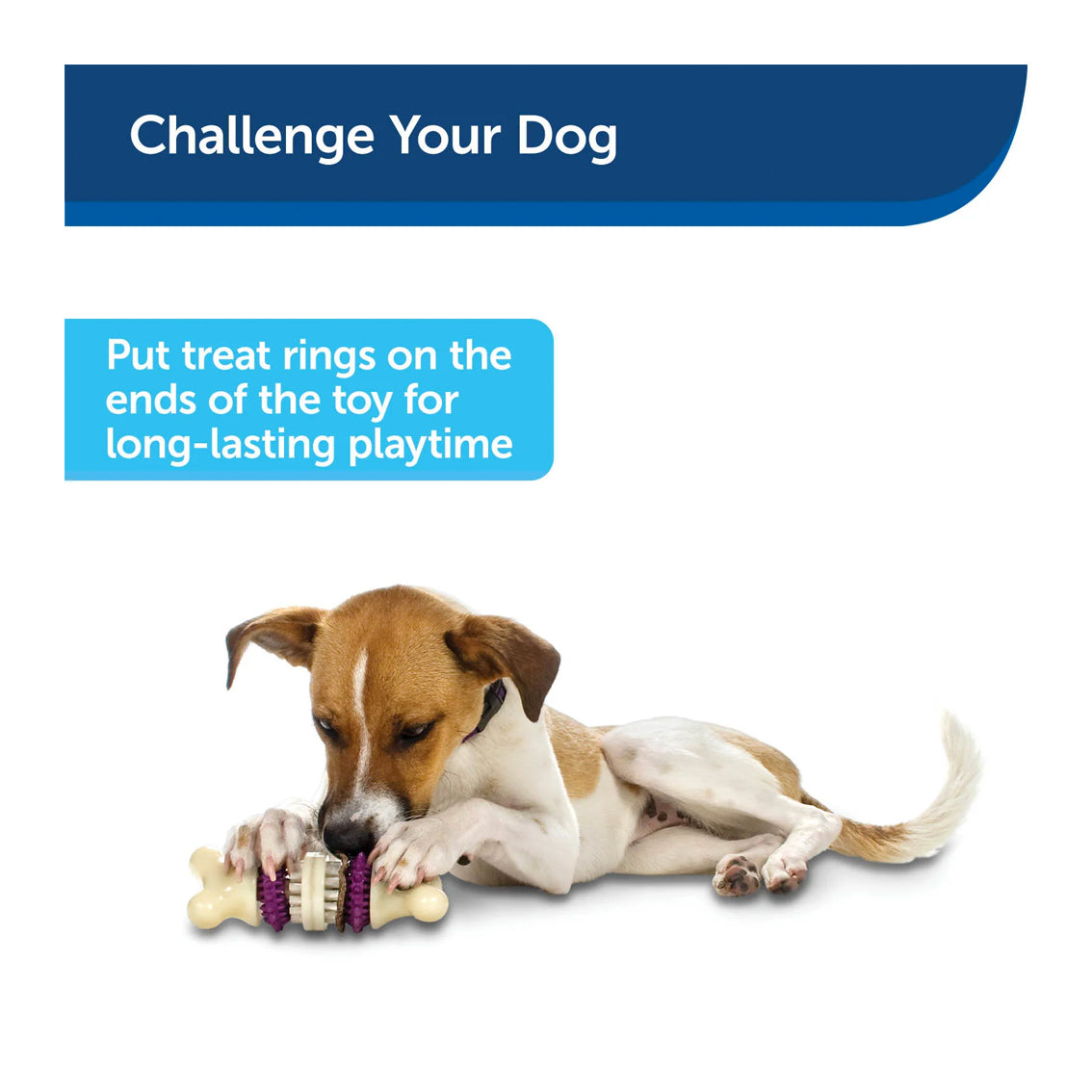 Busy Buddy Bristle Bone Treat Ring Dog Toy