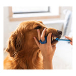 Paw Ready Oral Care Brushing Bundle Dental Kit - Toothbrush, BiteBlock, Toothpaste