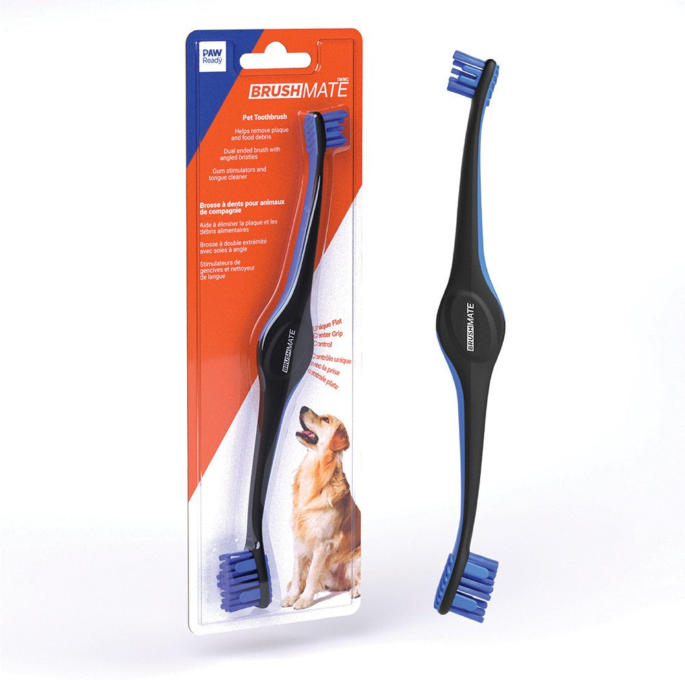 Paw Ready Oral Care Brushing Dental Kit - Toothbrush & Toothpaste