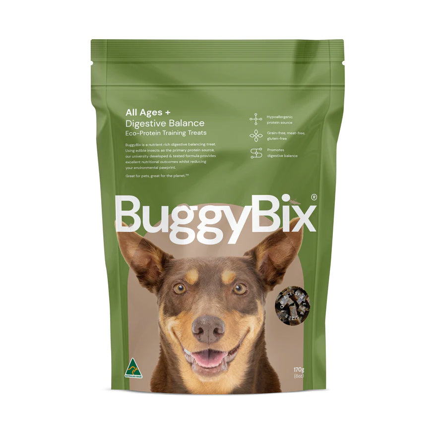 BuggyBix Digestive Balance Treats 170g