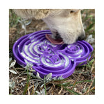 SodaPup Bull Frog eTray Slow Feeder