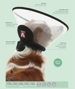 Buster Complete Elizabethan Collar