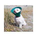 Buster Green Ocean Collar