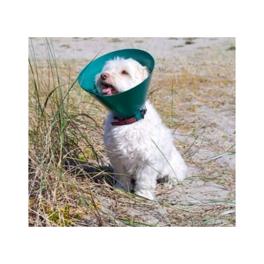 Buster Green Ocean Collar