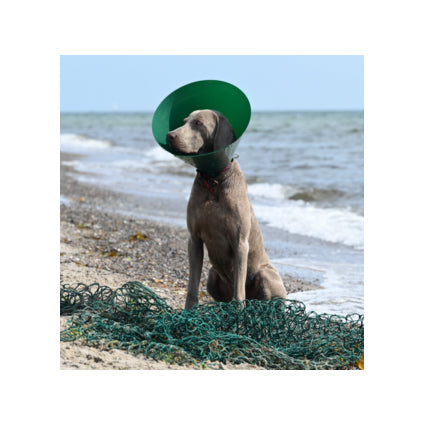 Buster Green Ocean Collar