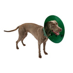 Buster Green Ocean Collar