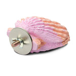 Bainbridge Calcium Clam Bird Perch - Small