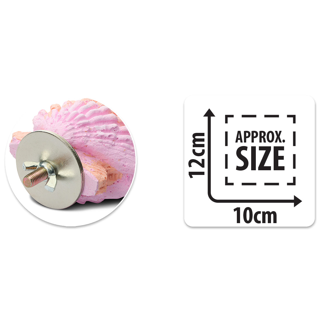 Bainbridge Calcium Clam Bird Perch - Small