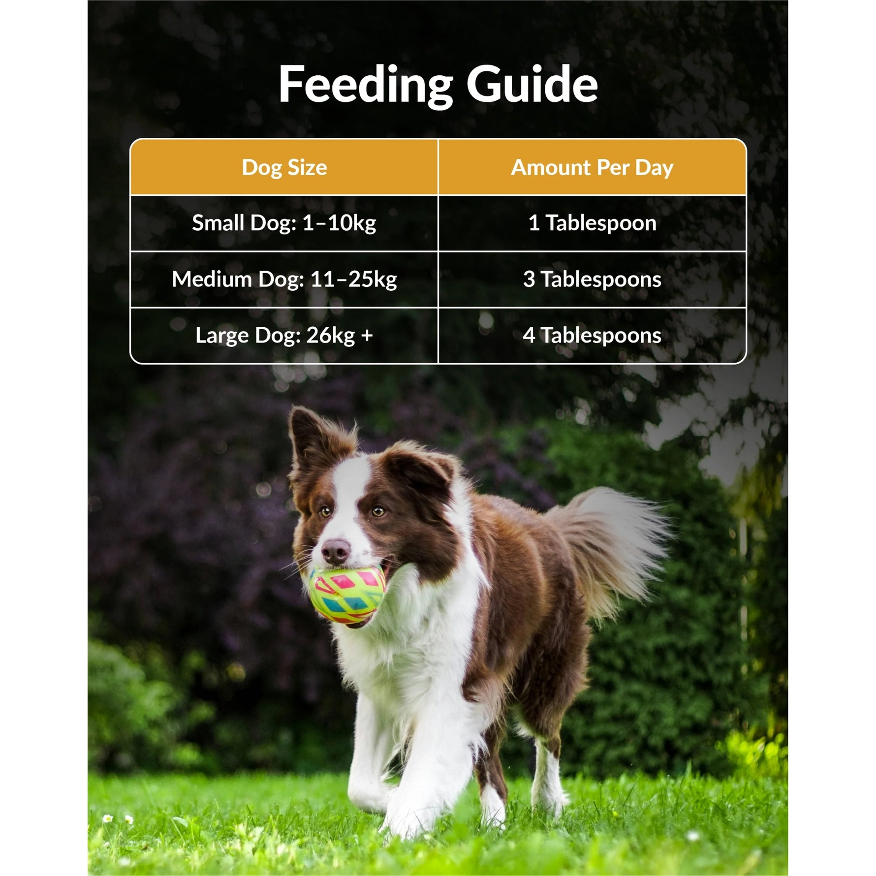 Carnivore Pet Kitchen Calm Meal Topper 230mL