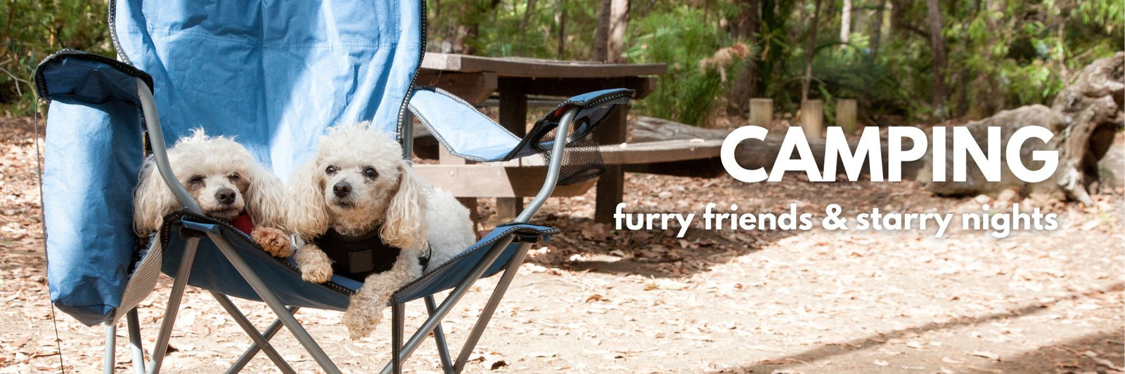 Camping with your dog 