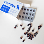 Cartiflex Mobility Support Capsules for Dogs