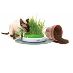Catit Senses Grass Planter