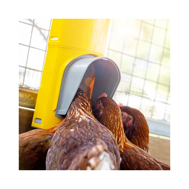 Bainbridge Chook Tower Feeder