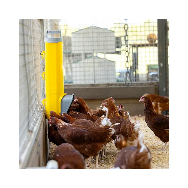 Bainbridge Chook Tower Feeder