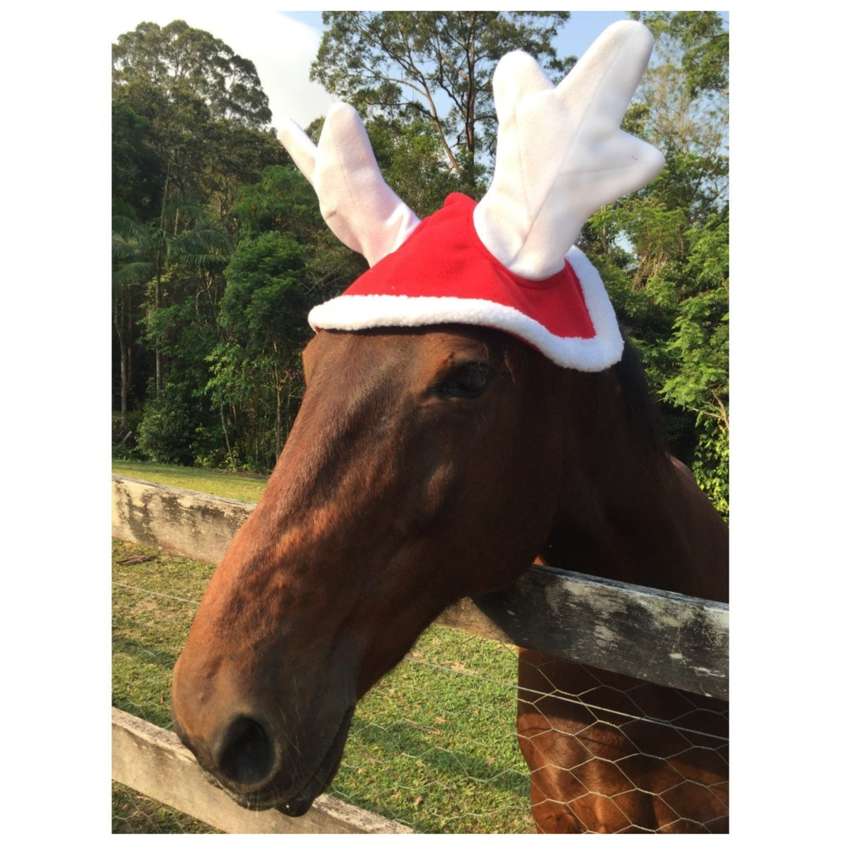 Christmas Reindeer Antlers