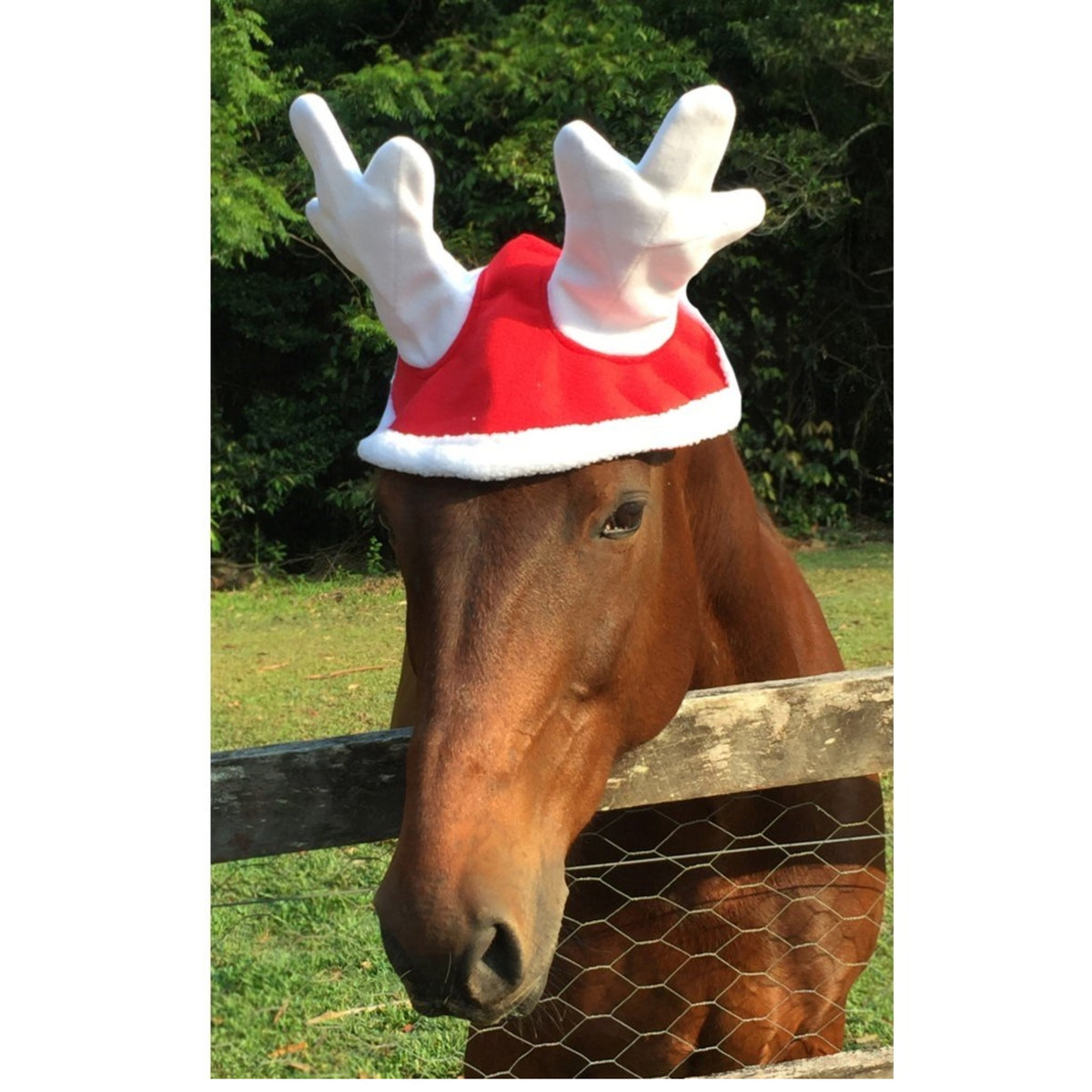 Christmas Reindeer Antlers