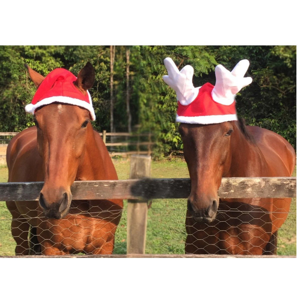 Christmas Reindeer Antlers