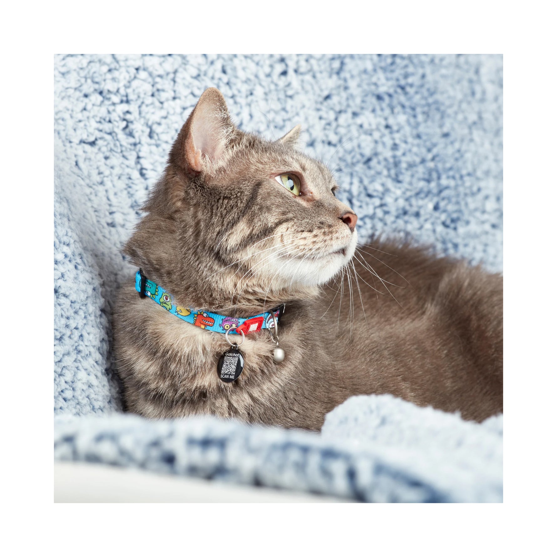 Max & Molly Smart ID Cat Collar Assorted Patterns