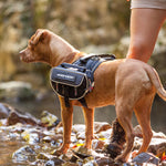 EzyDog Convert Dog Saddle Bags