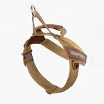 EzyDog Corduroy Express Harness