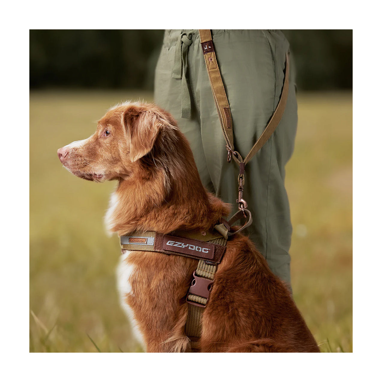 Hunter Dog Collar Vario Plus Brown Hunter Dog Collar Vario Plus Brown