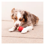 KONG Corkz Dog Treats - 10 Pack