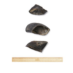Bark & Beyond Cow Hooves - 8 Pieces