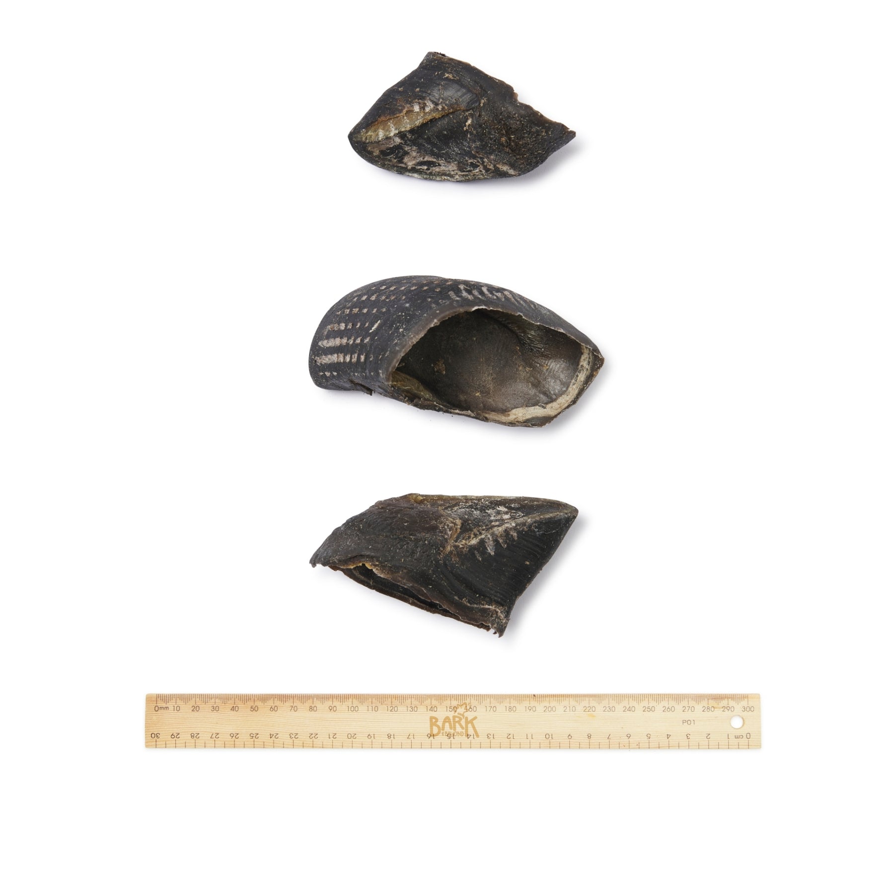 Bark & Beyond Cow Hooves - 8 Pieces