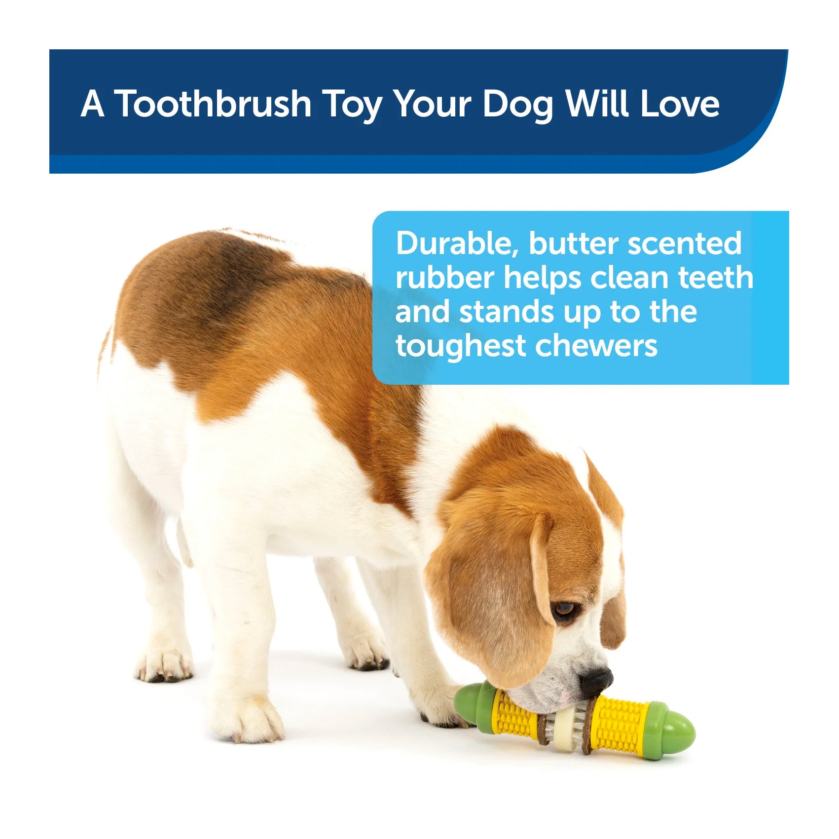 Busy Buddy Cravin' Corncob Treat Ring Dog Toy
