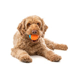Guru Crunch & Squeak Balls - 2 Pack