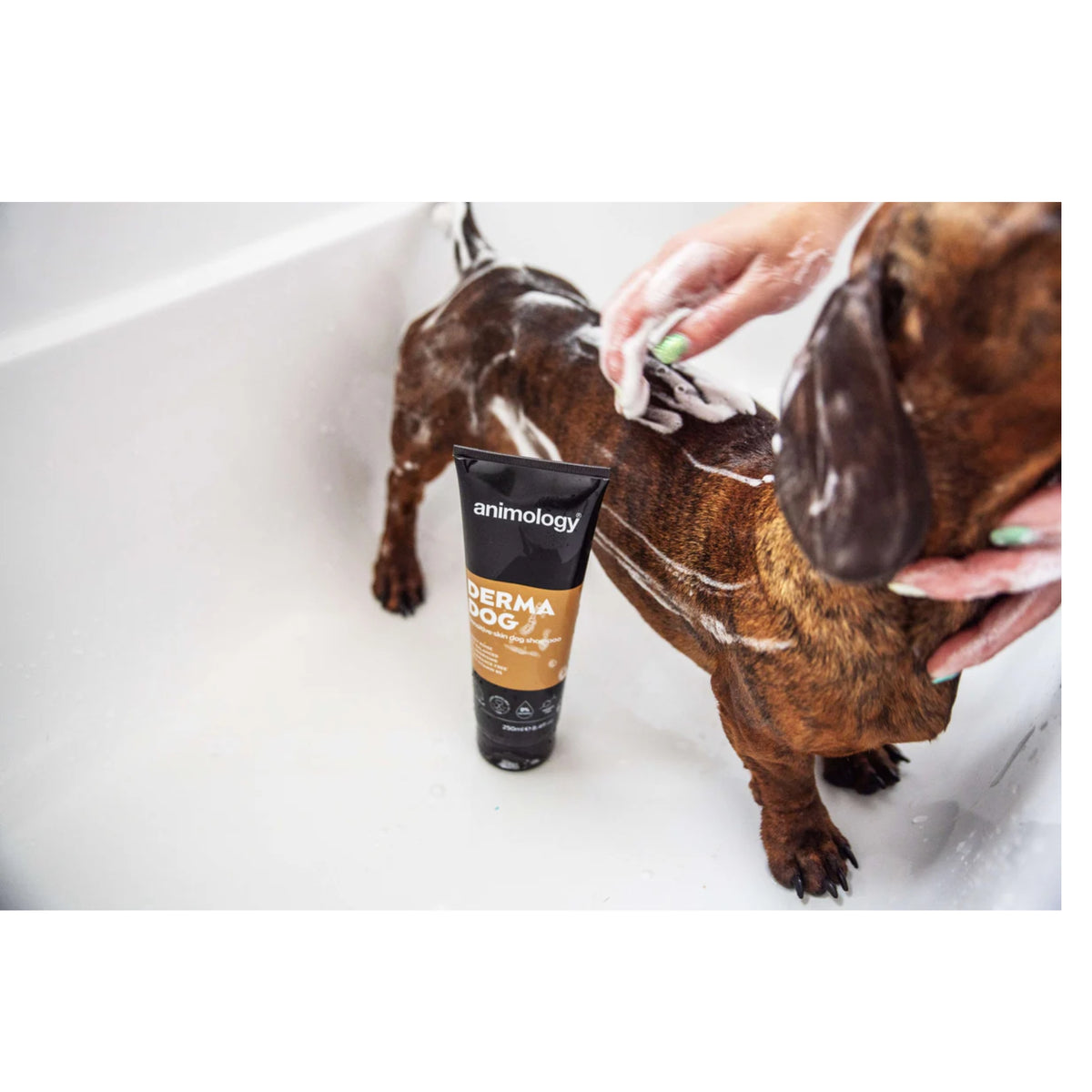 Animology Derma Dog Sensitive Skin Dog Shampoo 250mL