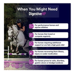 Poseidon DigestiveHP - High Performing Gut Health Supplement