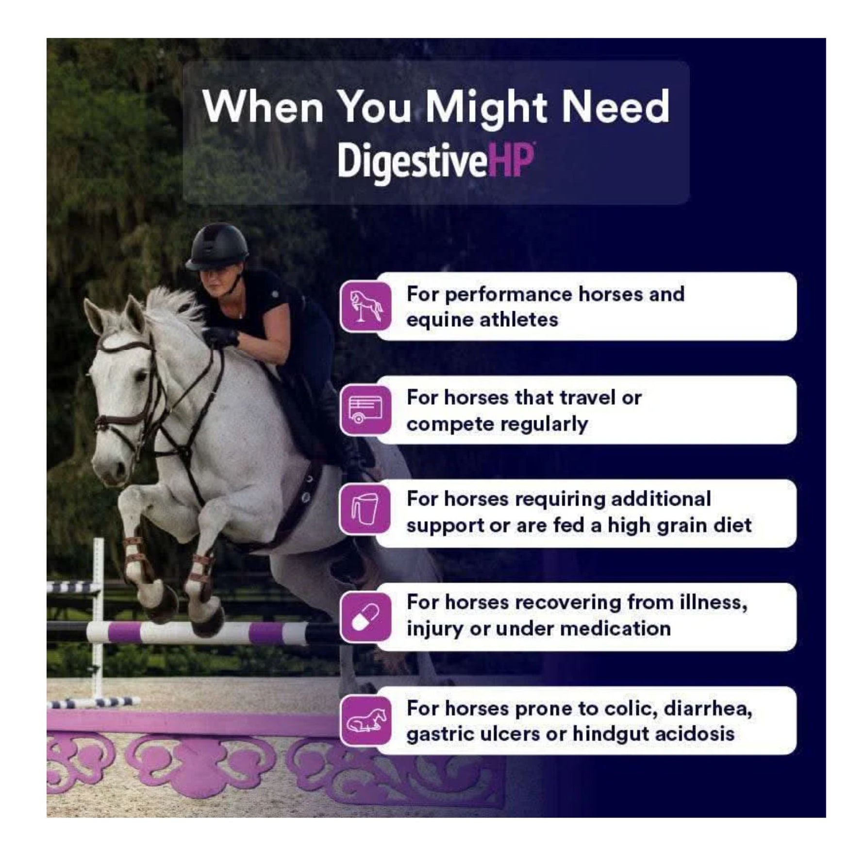 Poseidon DigestiveHP - High Performing Gut Health Supplement
