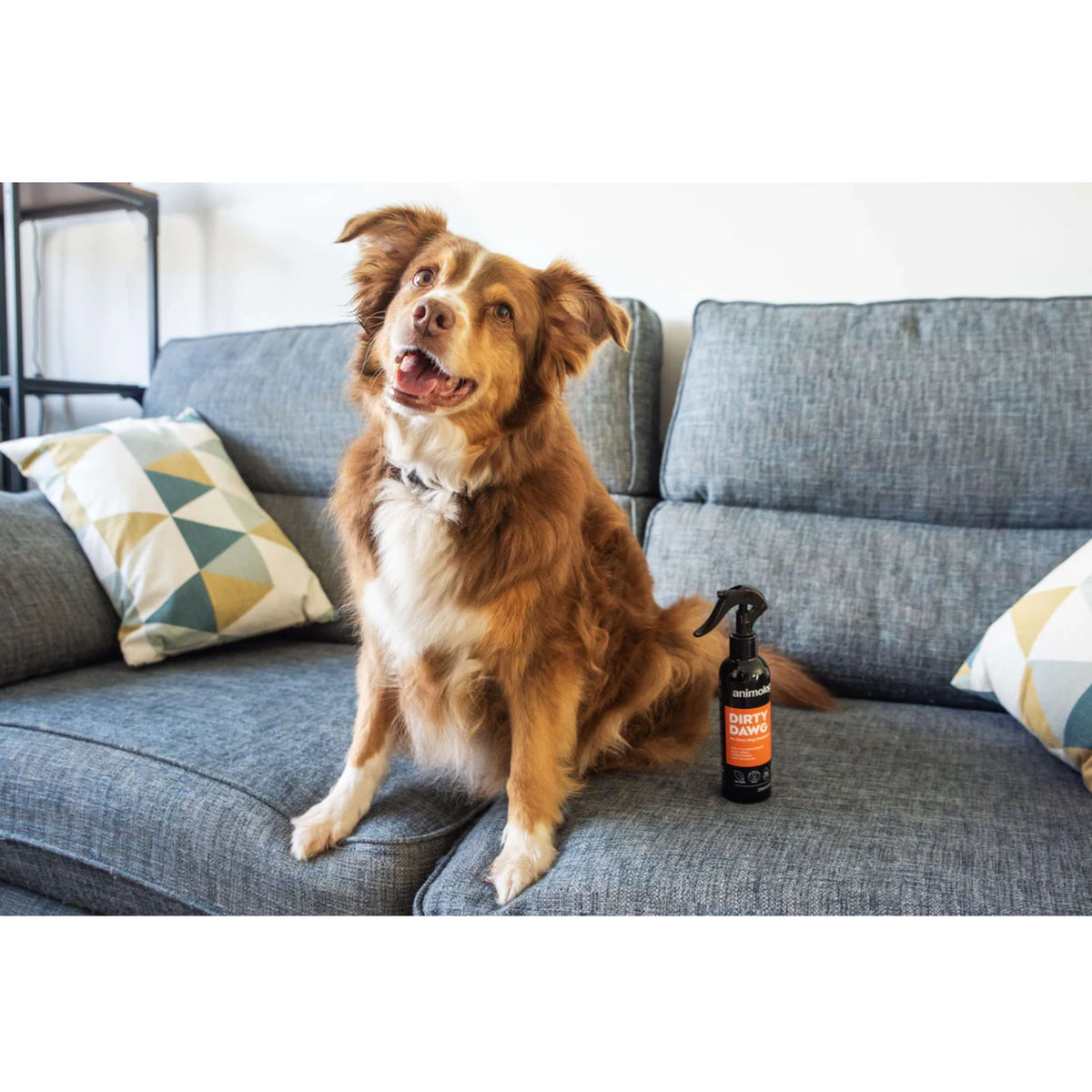 Animology Dirty Dawg No Rinse Dog Shampoo Spray 250mL