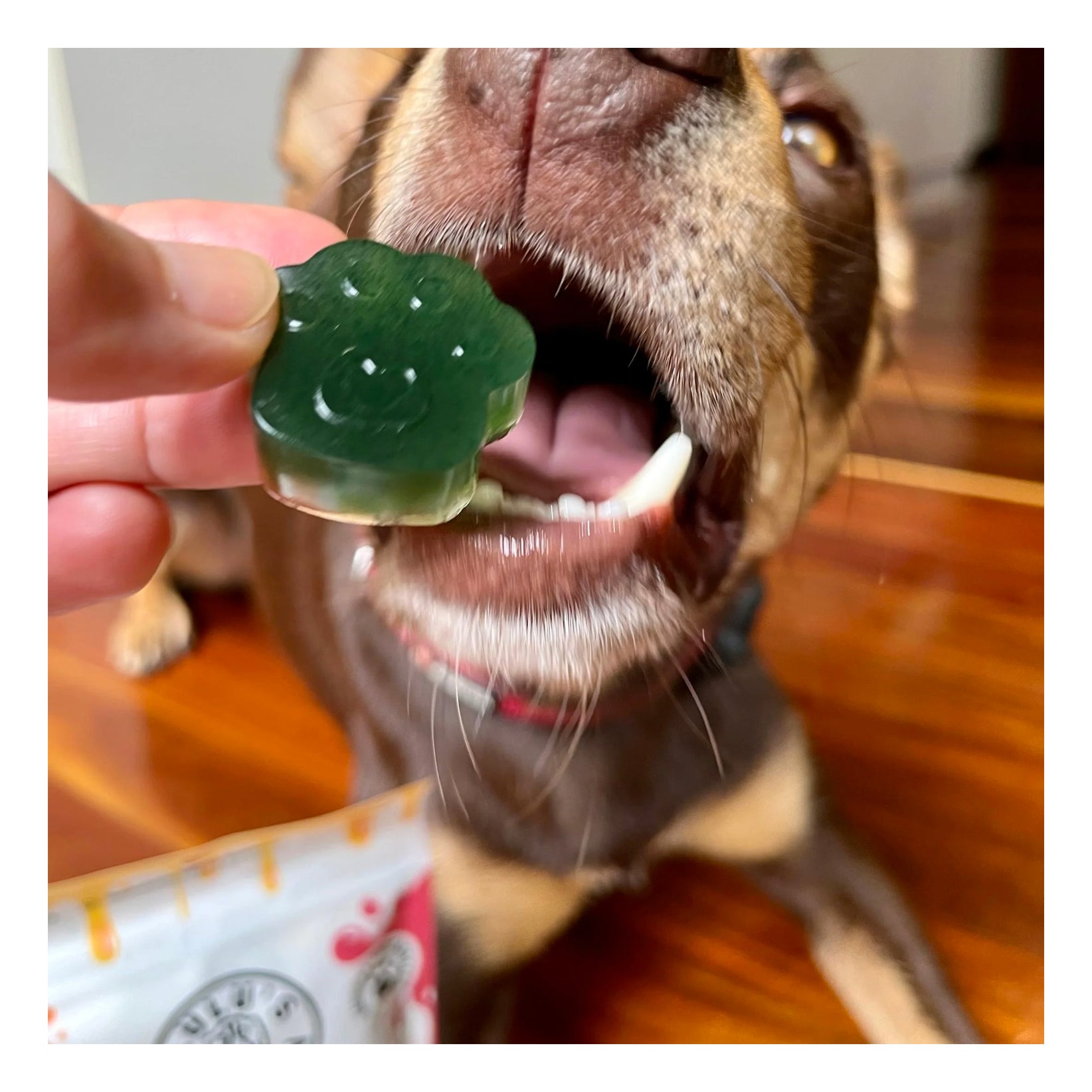 Lulu's Kitchen Doggy Superfood Jelly - Spinach & Green Spirulina  100g