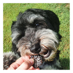 Lulu's Kitchen Doggy Superfood Jelly - Strawberry 100g