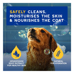 Douxo Spa Ultra-Safe Hydrating Oatmeal Shampoo for Dogs 250mL