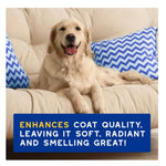 Douxo Spa Ultra-Safe Hydrating Oatmeal Shampoo for Dogs 250mL