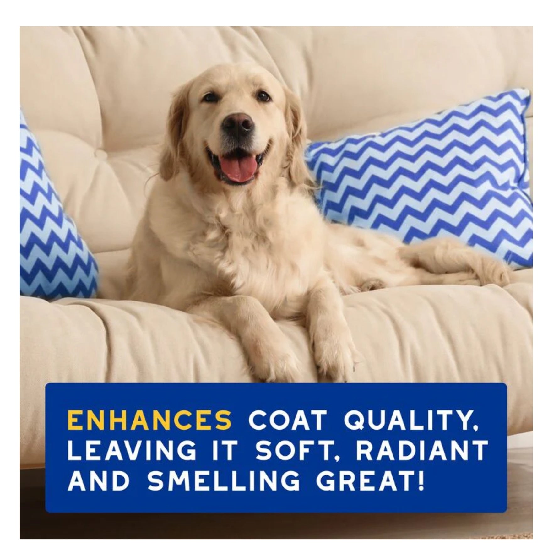Douxo Spa Ultra-Safe Hydrating Oatmeal Shampoo for Dogs 250mL